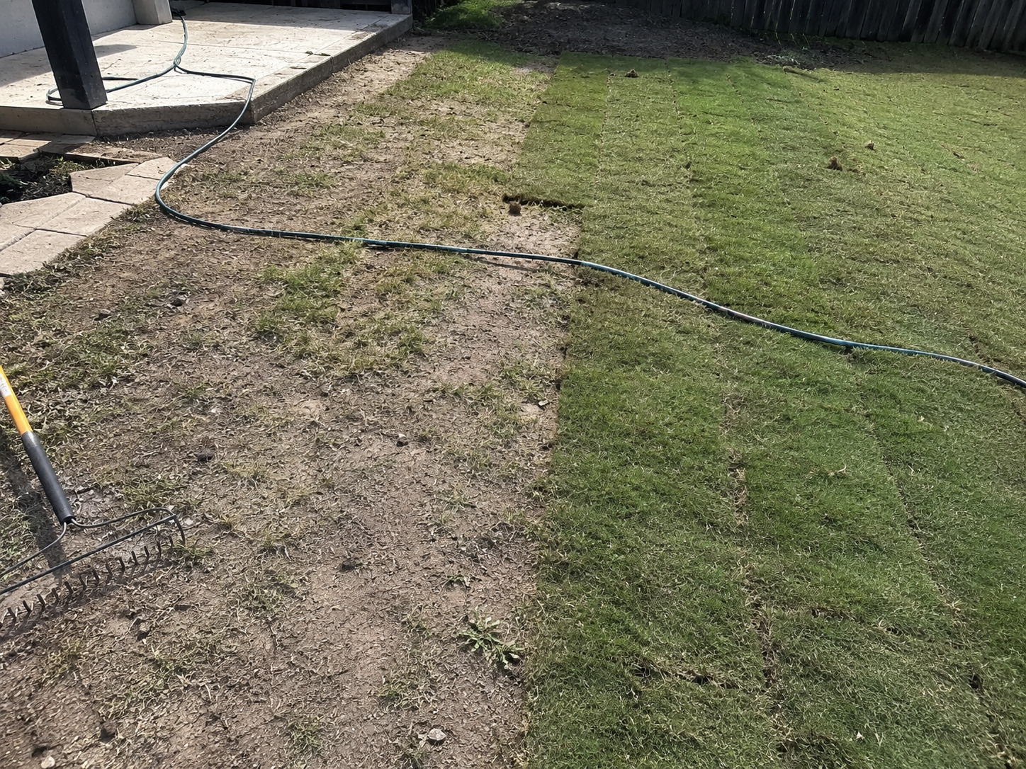 Backyard lawn with new sod laid beside bare soil and a garden hose
